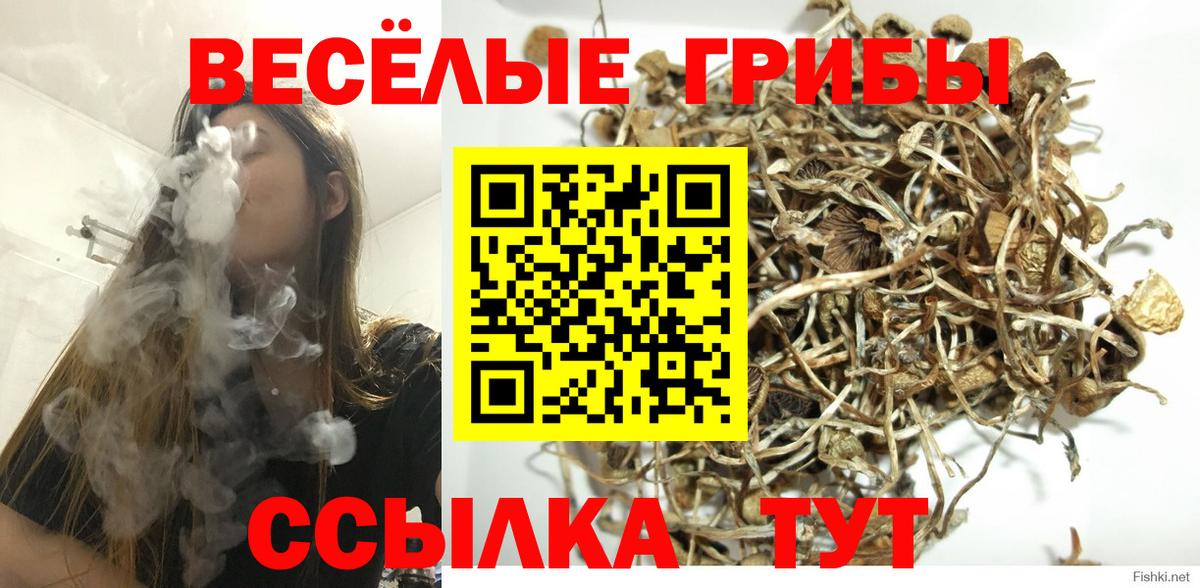 Псилоцибиновые грибы GOLDEN TEACHER Ленинск-Кузнецкий