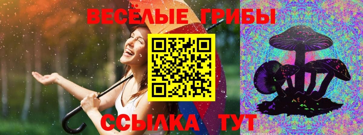 Ленинск-Кузнецкий  купить   Вход с VPN  Псилоцибиновые грибы Psilocybe 